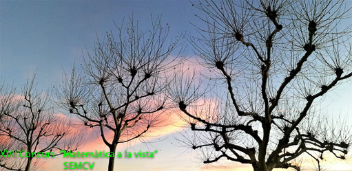 Menció Especial - Arbre de probabilitats