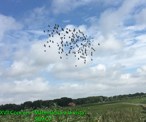 Menció Especial - Nube de puntos