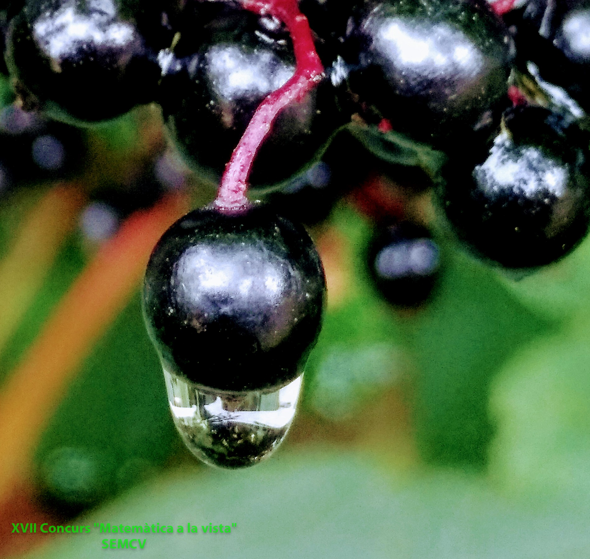 17 II 1P Naix una esfera d'altra esfera