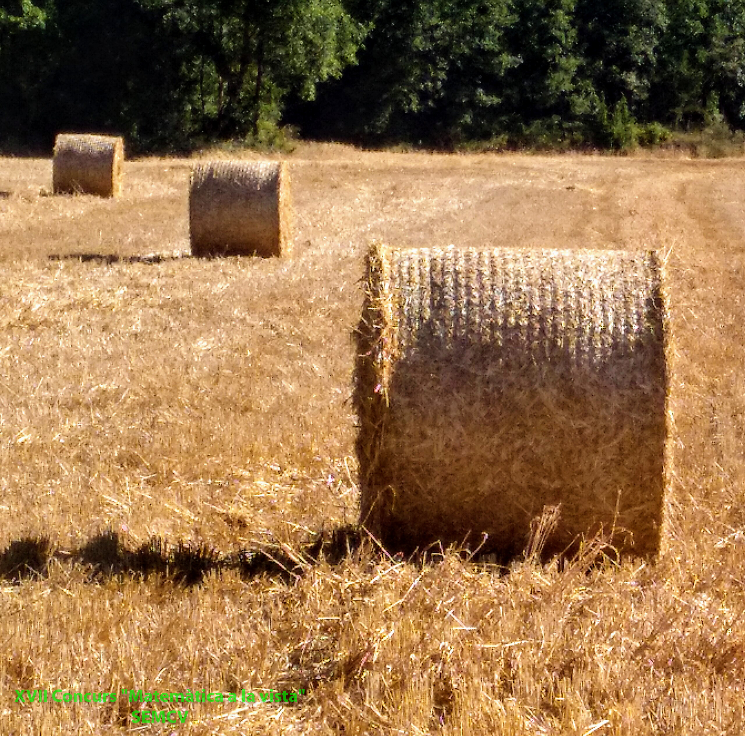 17 II 3P Cursa de cilindres