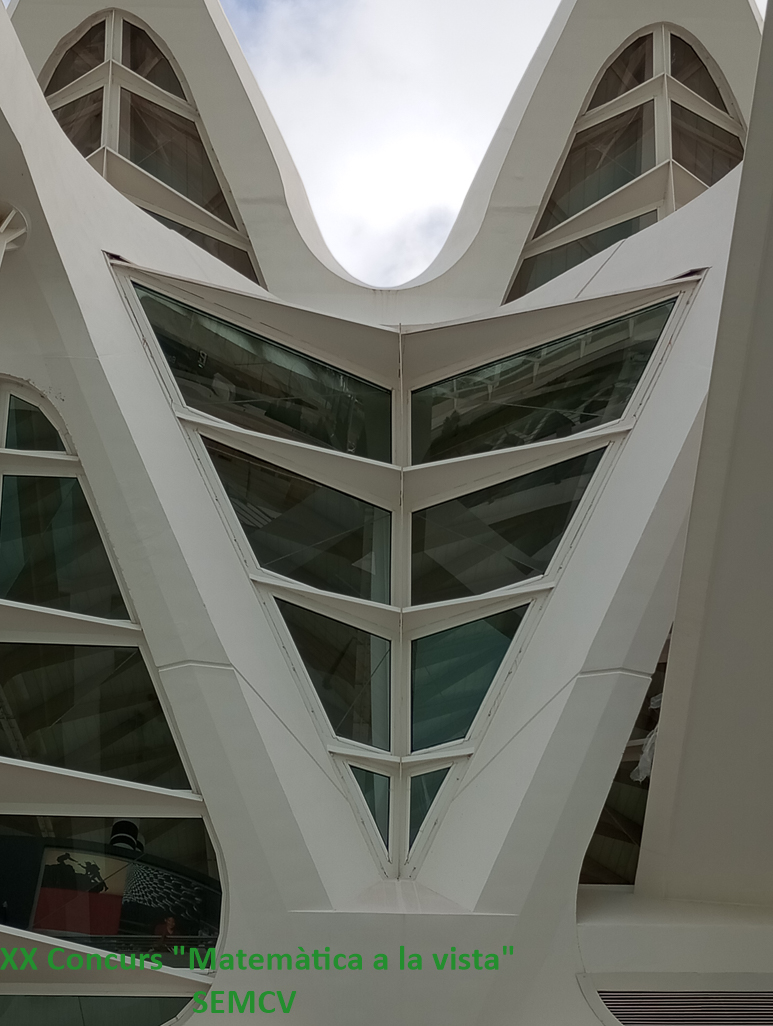 Menció especial - Pareidolia simétrica