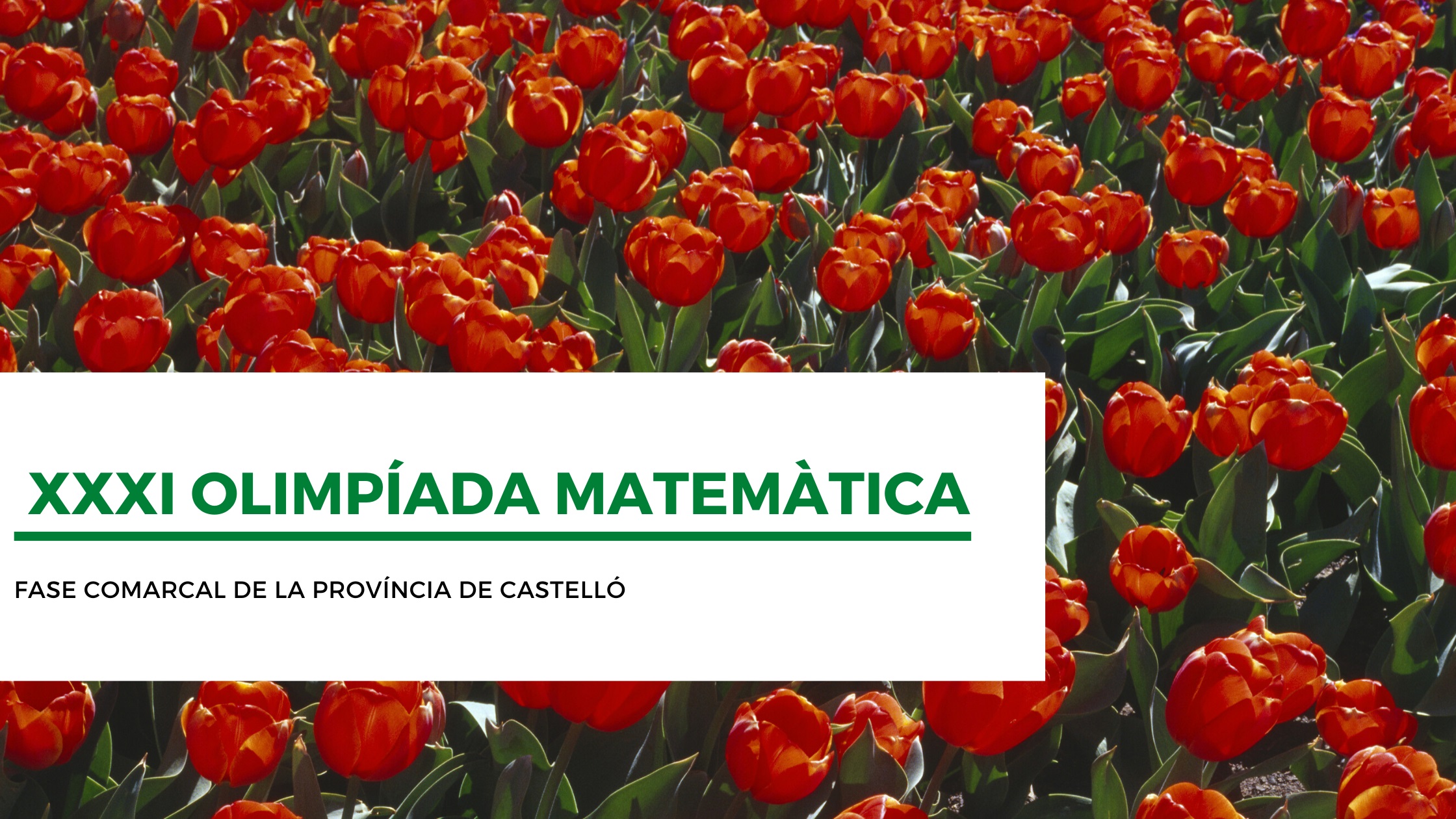 FASE COMARCAL CASTELLÓ 2021